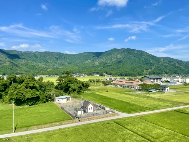 農業法　杉並区 | 行政書士中村光男事務所　杉並・練馬・中野・武蔵野市・新宿区・小金井市・小平市