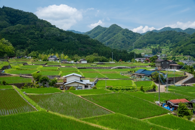 農振法改正　杉並区 | 行政書士中村光男事務所　杉並・練馬・中野・武蔵野市・新宿区・小金井市・小平市